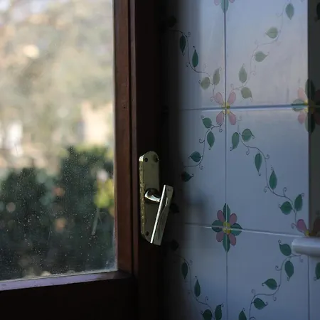 Apartamento Domus Marziale *