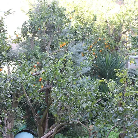 Domus Marziale 公寓 *